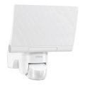 STEINEL 033088 - LED-valonheitin anturilla XLED home 2 LED/14W/230V IP44