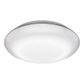 Steinel 035440 - LED-ulkokattovalaisin anturilla QUATTRO LED/10W/230V IP54