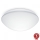 Steinel 056131 - LED-kattovalaisin kylpyhuoneeseen RS PRO LED P3 LED/19,5W/230V IP54 3000K