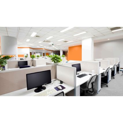 Steinel 059521 - Läsnäolotunnistin DualTech KNX valkoinen
