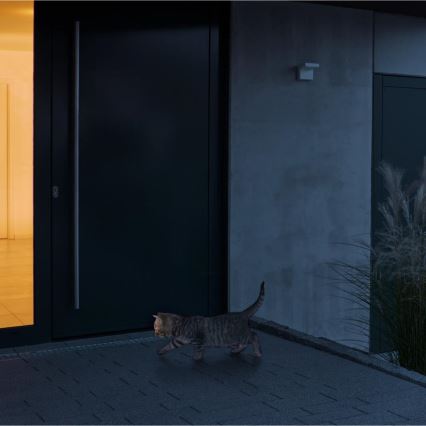 Steinel 059637 - Liiketunnistin iHF 3D KNX IP54 musta