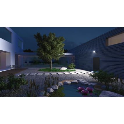 Steinel 065232 - LED-valonheitin XLED ONE XL LED/42,6W/230V 3000K IP44 valkoinen