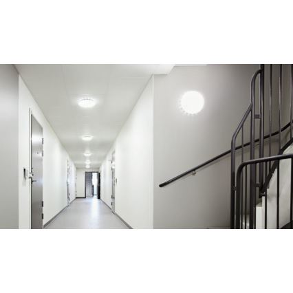 Steinel 068059 - LED Kattovalo anturilla RS PRO S30 SC 25,8W/230V 3000K