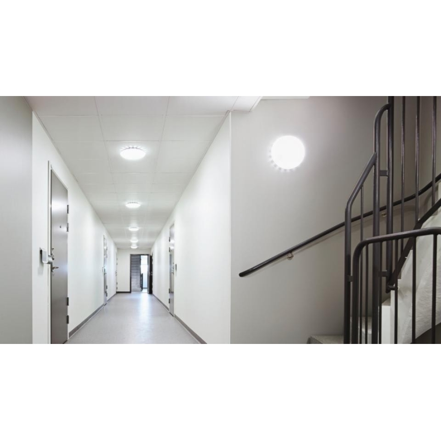 Steinel 081072 - LED-kattovalaisin anturilla RS PRO S10 SC LED/9,1W/230V 4000K