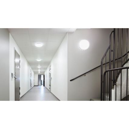 Steinel 081959 - SETTI 5x LED Kattovalo sensorilla RS PRO S20 SC LED/15,7W/230V 3000K