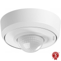 Steinel 087821 - Ulkoliikennanturi läsnäolotunnistimella PD-24 ECO COM1 360° IP54 valkoinen