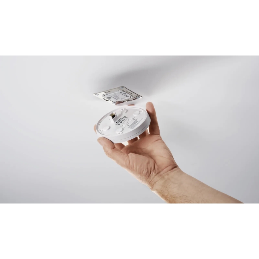 Steinel 087821 - Ulkoliikennanturi läsnäolotunnistimella PD-24 ECO COM1 360° IP54 valkoinen