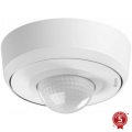 Steinel 088019 - Ulkoliikennanturi läsnäolotunnistimella PD-24 ECO KNX 360° IP54 valkoinen