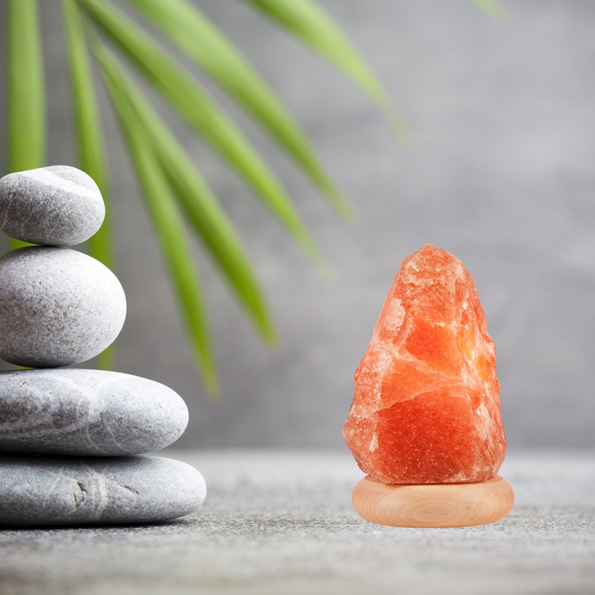 Suolalamppu SALLY 1xE14/25W/230V leppä 2,2 kg