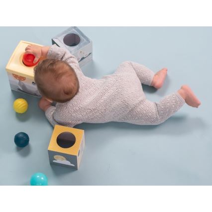 Taf Toys - Interaktiivinen leikkisarja pohjoisnapa