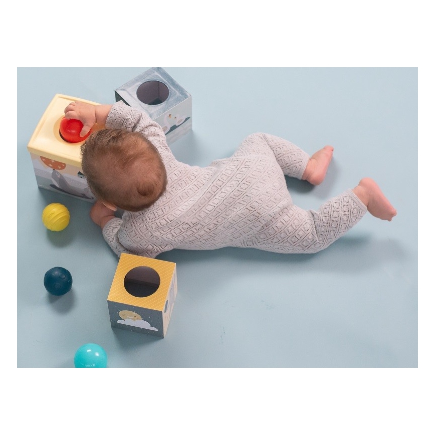 Taf Toys - Interaktiivinen leikkisarja pohjoisnapa