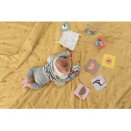 Taf Toys - Lahjarasia HELLO BABY