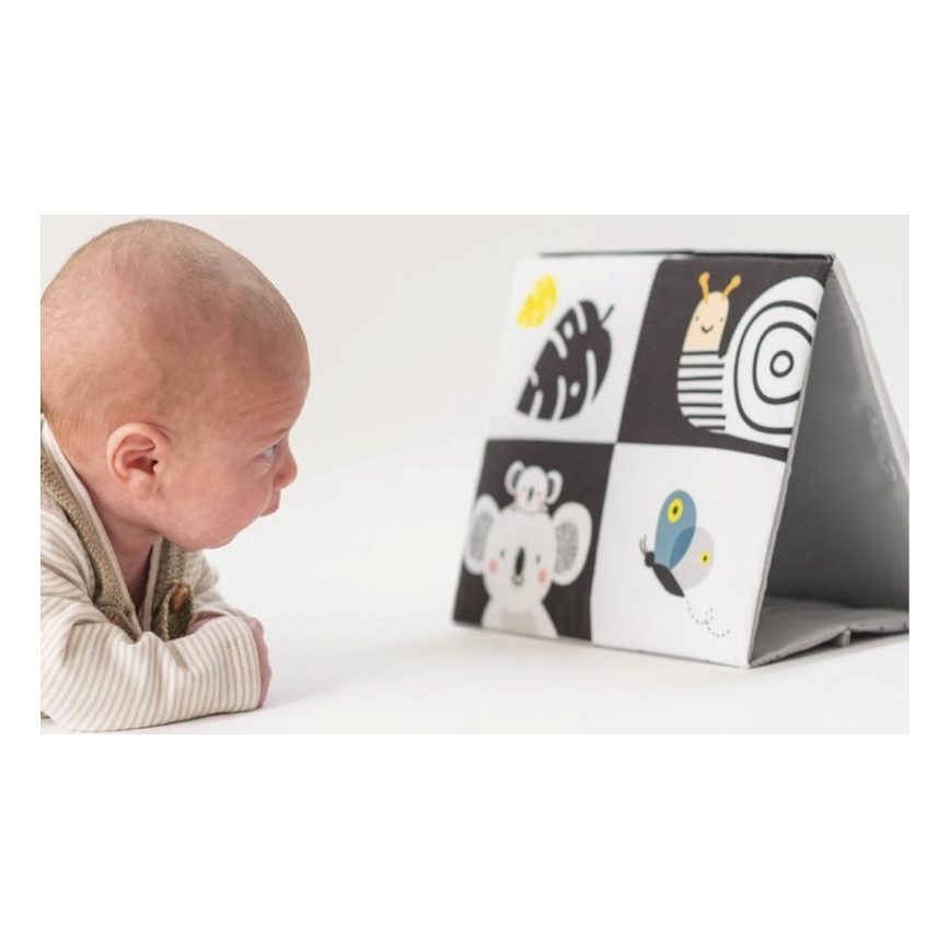 Taf Toys - Lasten tekstiilikirja peilillä musta