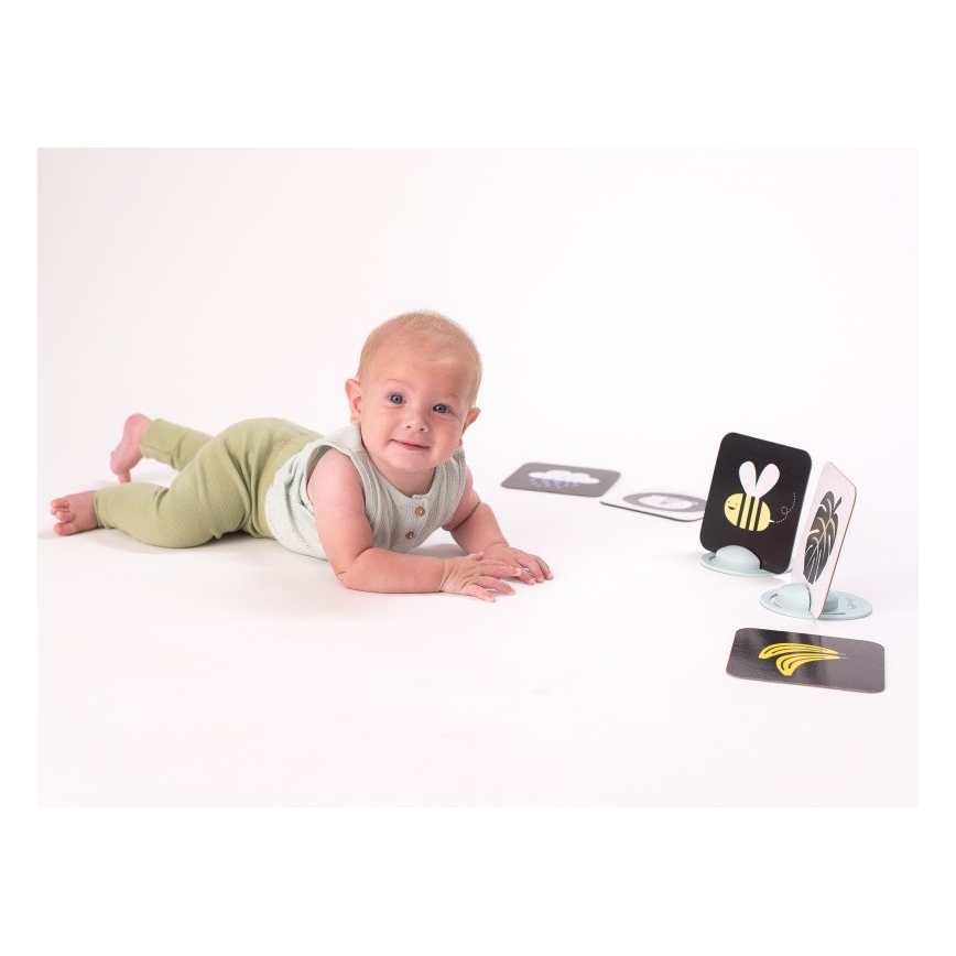 Taf Toys - Maha-aika kortit 18 kpl