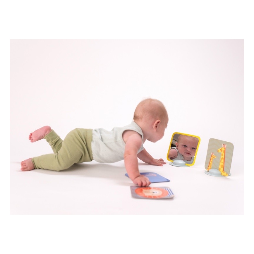 Taf Toys - Maha-aika kortit 18 kpl