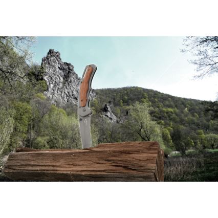 Taitettava veitsi turvalukolla 20 cm