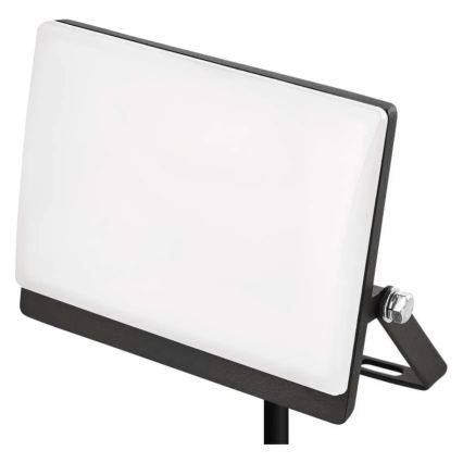 TAMBO EVO LED-valonheitin 20W/230V 4000K IP65 musta