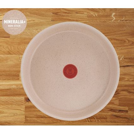 Tefal - 17-osainen INGENIO DELIGHT -kattilasetti