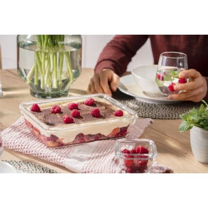 Tefal - 3 l MSEAL GLASS säilytysastia, punainen/lasinen