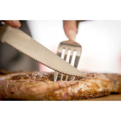 Tefal - 4 kpl ruostumattomia ICE FORCE pihviveitsiä, 11 cm, kiiltävä kromi/musta