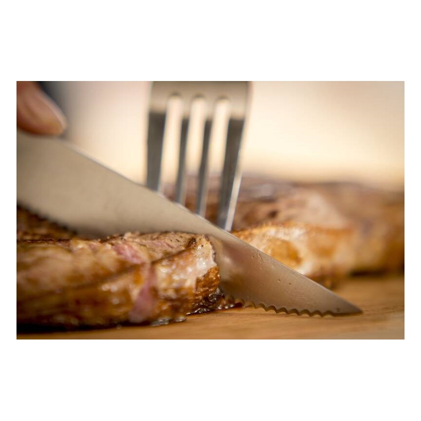 Tefal - 4 kpl ruostumattomia ICE FORCE pihviveitsiä, 11 cm, kiiltävä kromi/musta