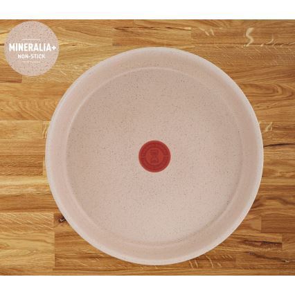 Tefal - 6-osainen INGENIO DELIGHT -astiansetti