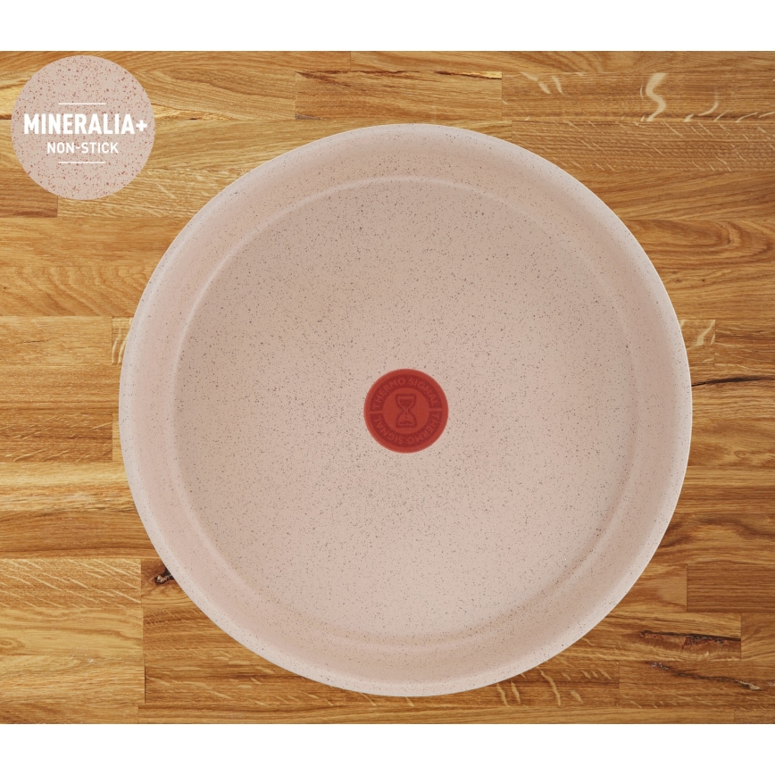 Tefal - 6-osainen INGENIO DELIGHT -astiansetti