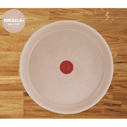 Tefal - 8-osainen pannusetti INGENIO DELIGHT