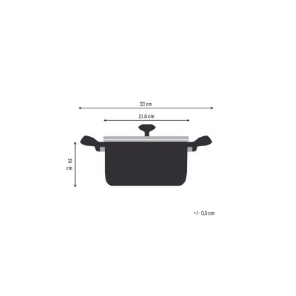 Tefal - EXTREME-kattila kannella 20 cm