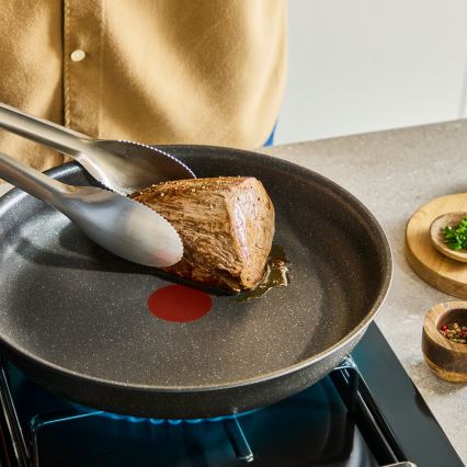 Tefal - INGENIO Expertise 12-osainen astiasarja
