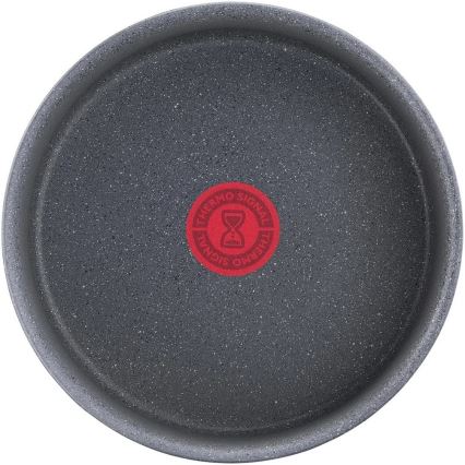 Tefal - Kattila INGENIO NATURAL FORCE 20 cm