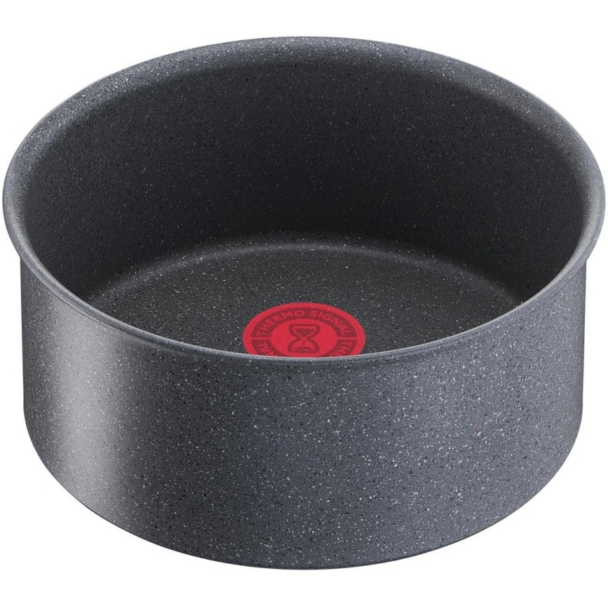 Tefal - Kattila INGENIO NATURAL FORCE 20 cm
