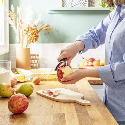 Tefal - Kuorimalaite INGENIO ruostumaton/musta