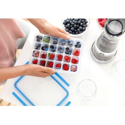 Tefal - MASTER SEAL jääpalamuotti, 24 kuutiota, sininen