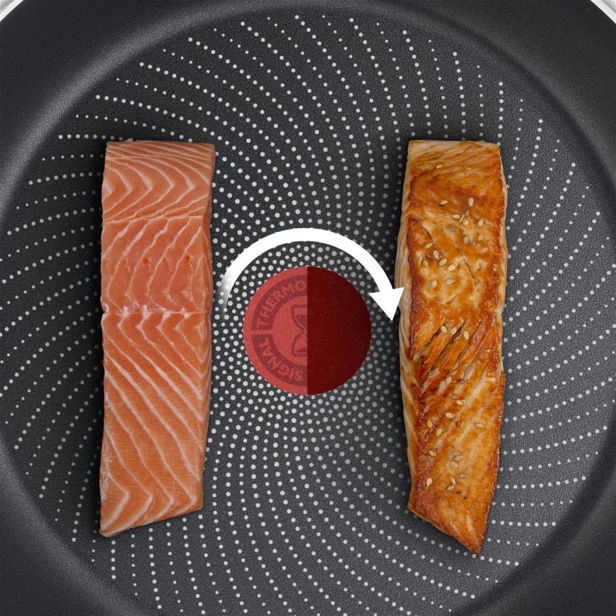 Tefal - Paistinpannu DELICIOUS 20 cm