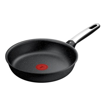 Tefal - Paistinpannu EXPERTISE 24 cm