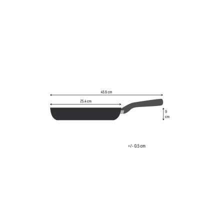 Tefal - Paistinpannu EXTREME 24 cm, ruostumaton teräs