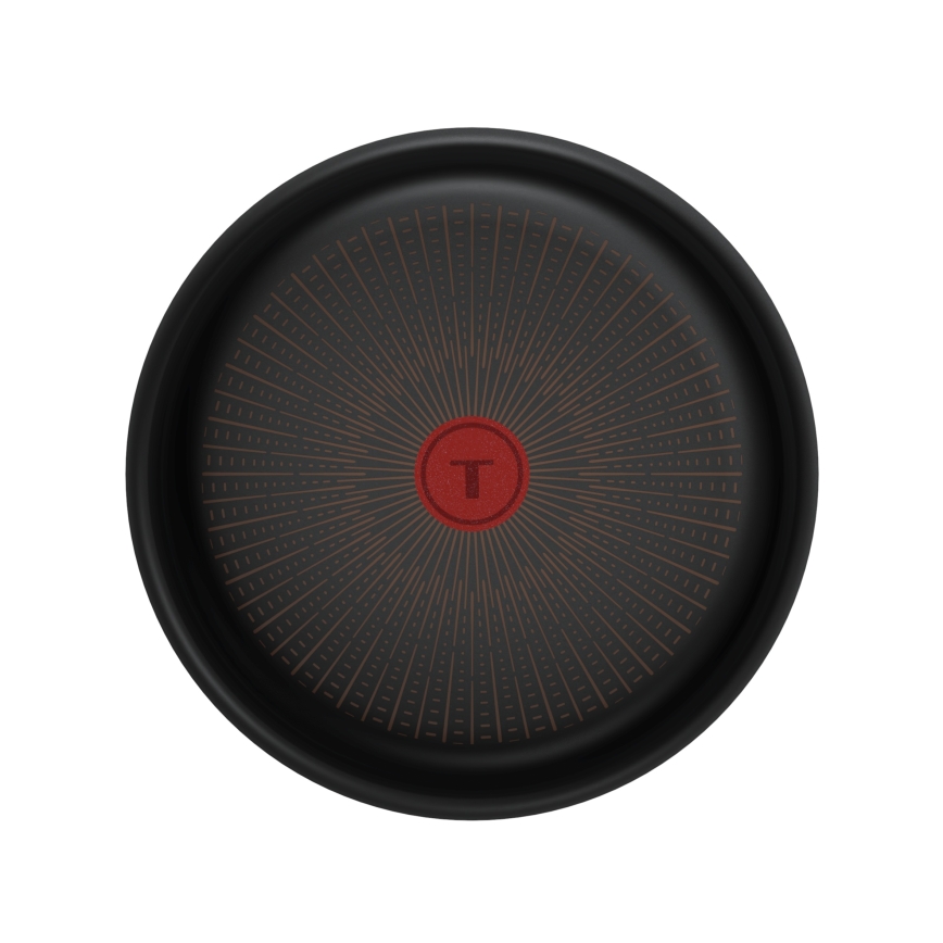 Tefal - Paistinpannu INGENIO Excellence Fusion 24 cm