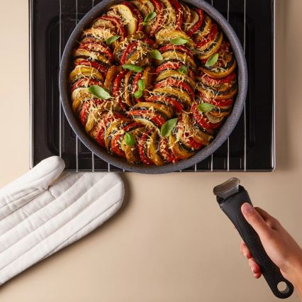 Tefal - Paistinpannu INGENIO NATURAL FORCE 24 cm
