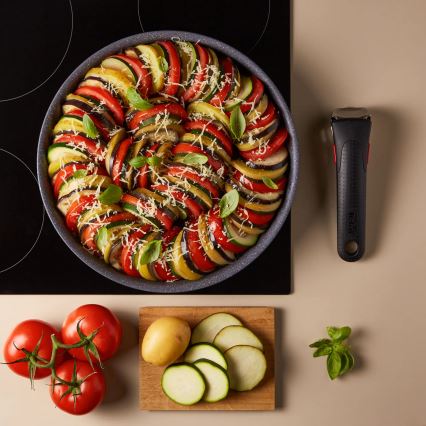 Tefal - Paistinpannu INGENIO NATURAL FORCE 24 cm