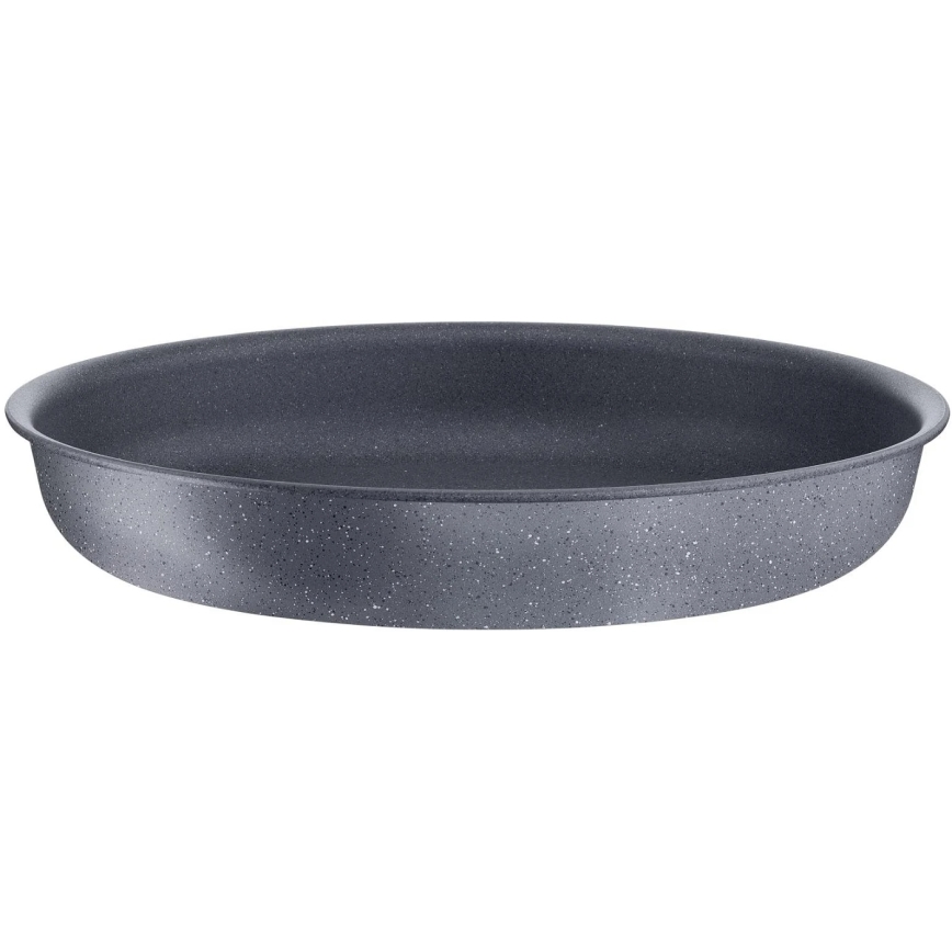 Tefal - Paistinpannu INGENIO NATURAL FORCE 24 cm