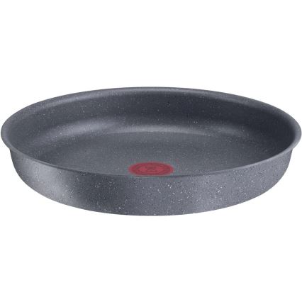 Tefal - Paistinpannu INGENIO NATURAL FORCE 24 cm