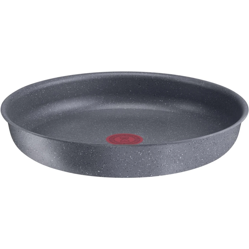 Tefal - Paistinpannu INGENIO NATURAL FORCE 24 cm