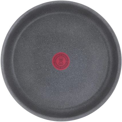 Tefal - Paistinpannu INGENIO NATURAL FORCE 24 cm