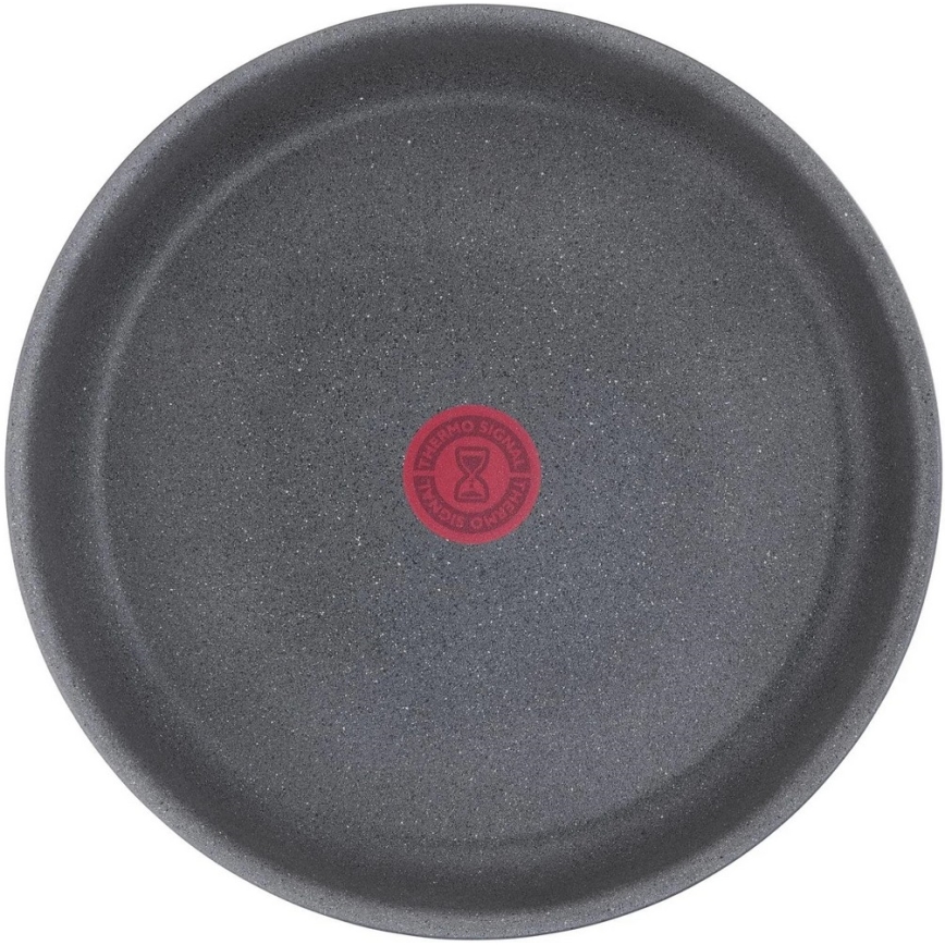 Tefal - Paistinpannu INGENIO NATURAL FORCE 24 cm