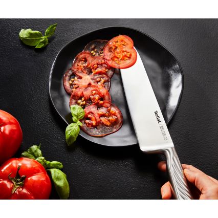 Tefal - PRECISION-keittiöveitsisarja 3 kpl