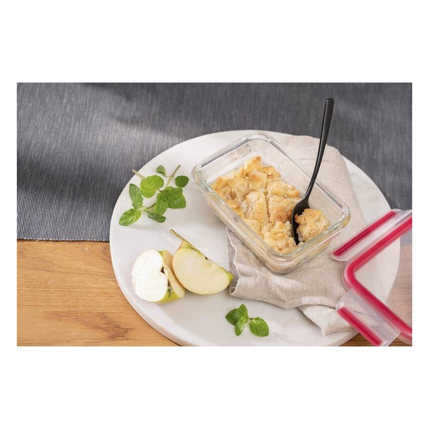 Tefal - Ruokasäiliö 0,45 l MSEAL GLASS punainen/lasi