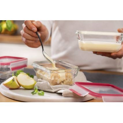 Tefal - Ruokasäiliö 0,45 l MSEAL GLASS punainen/lasi