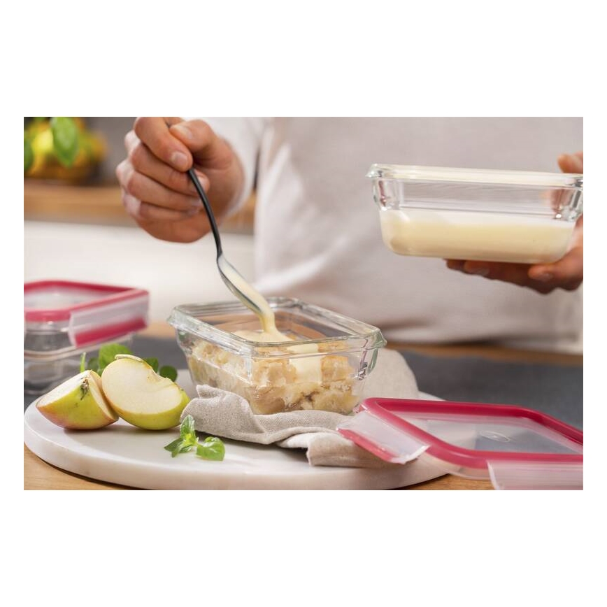 Tefal - Ruokasäiliö 0,45 l MSEAL GLASS punainen/lasi