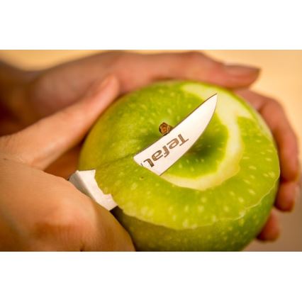 Tefal - Ruostumattomasta teräksestä valmistettu ICE FORCE 7 cm kaiverrusveitsi, kiiltävä kromi/musta